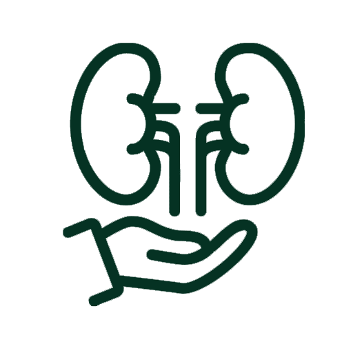 Kidney Function CUREFOREVER