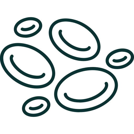 Red Blood Cells CUREFOREVER