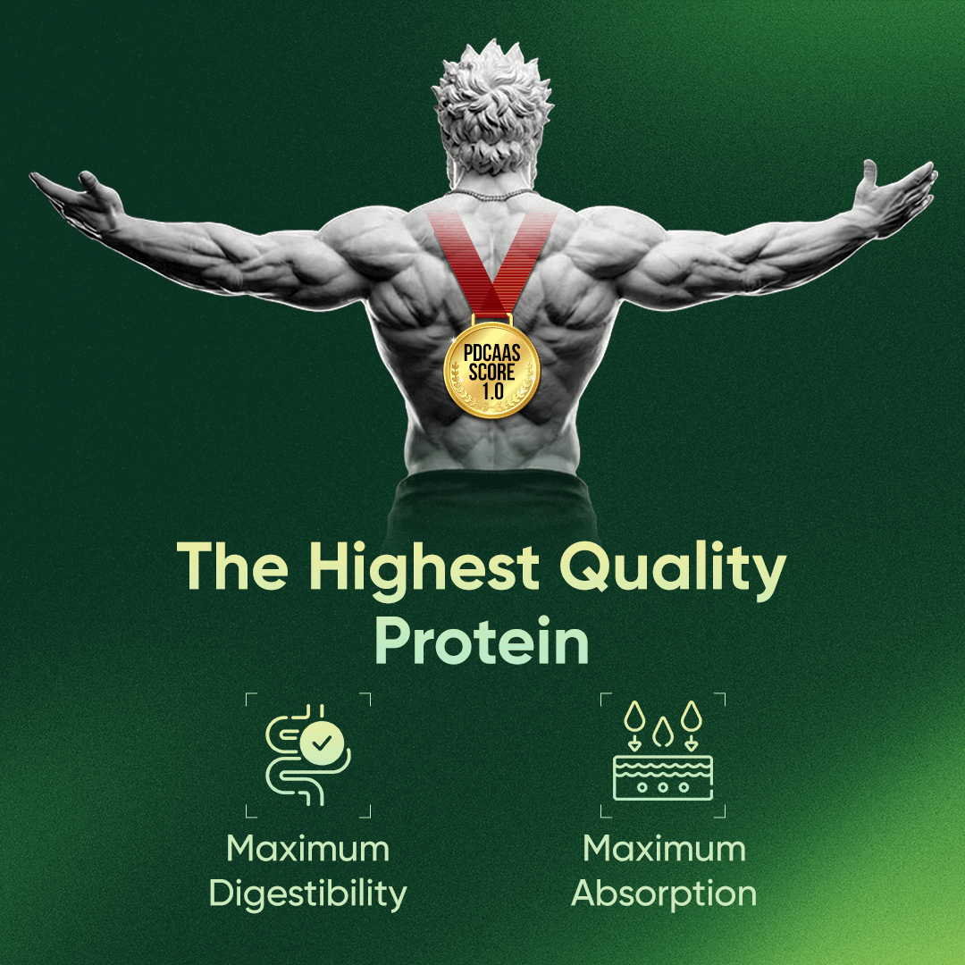 Whey Protein | Concentrate + Isolate - Assorted Pack of 7 - ChocolateFlavour